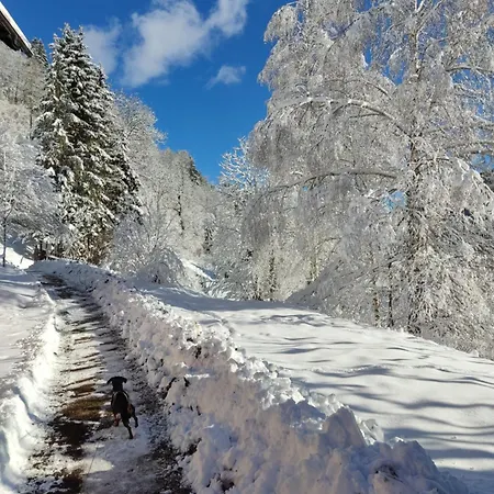 Kirchenwirt 3* Bad Kleinkirchheim