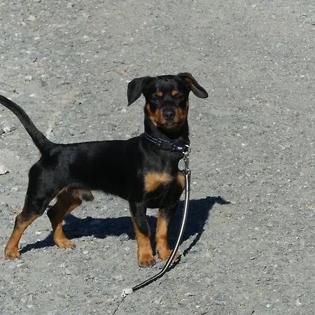 Kirchenwirt Bad Kleinkirchheim