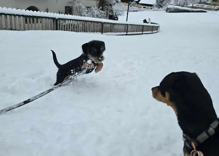 Kirchenwirt Готель Бад-Кляйнкірхгайм